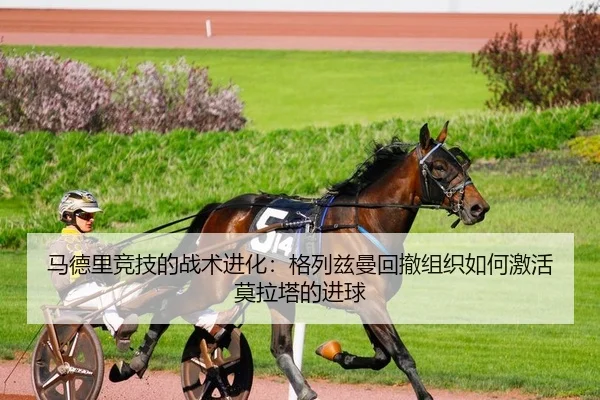 ma-de-li-jing-ji-de-zhan-shu-jin-hua-ge-lie-zi-man-hui-che-zu-zhi-ru-he-ji-huo-mo-la-ta-de-jin-qiu-2-325.jpg